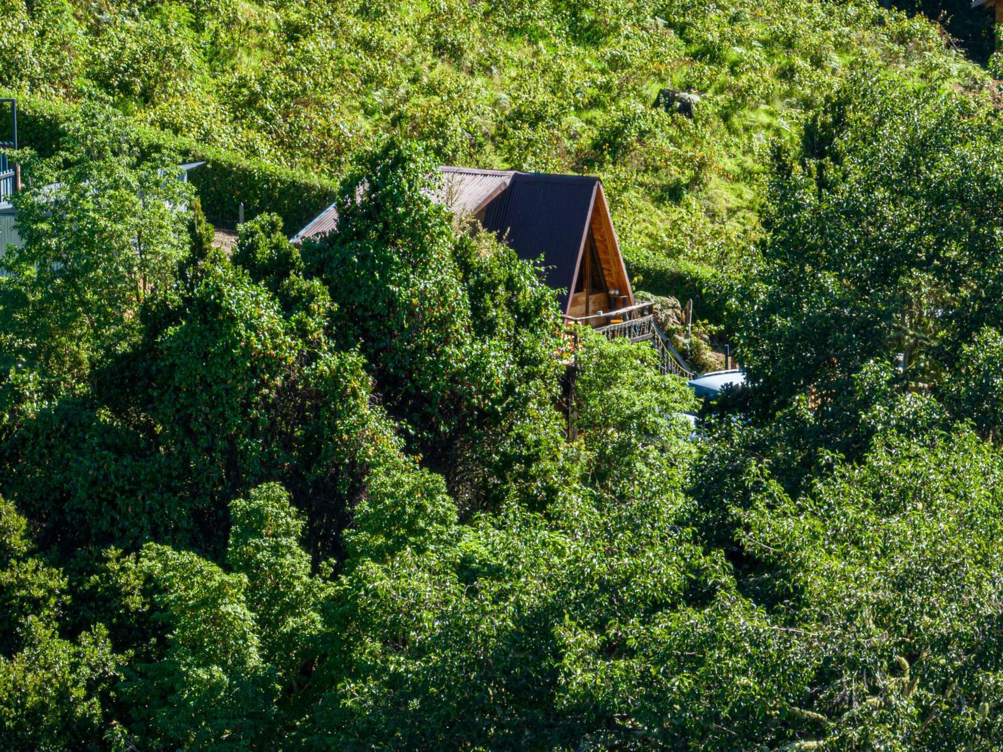 מלון Rivas Glamping Jaulares Mountain מראה חיצוני תמונה